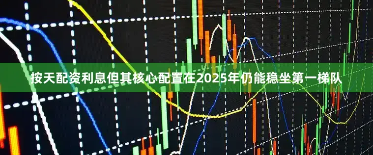 按天配资利息但其核心配置在2025年仍能稳坐第一梯队