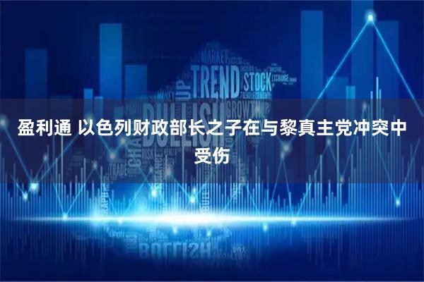 盈利通 以色列财政部长之子在与黎真主党冲突中受伤