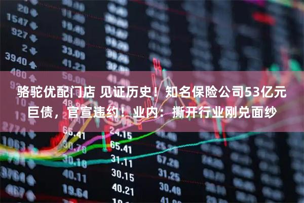 骆驼优配门店 见证历史！知名保险公司53亿元巨债，官宣违约！业内：撕开行业刚兑面纱