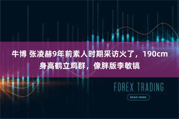 牛博 张凌赫9年前素人时期采访火了，190cm身高鹤立鸡群，像胖版李敏镐