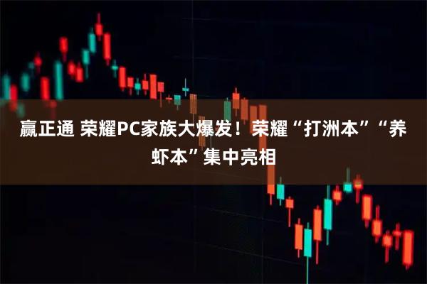 赢正通 荣耀PC家族大爆发！荣耀“打洲本”“养虾本”集中亮相
