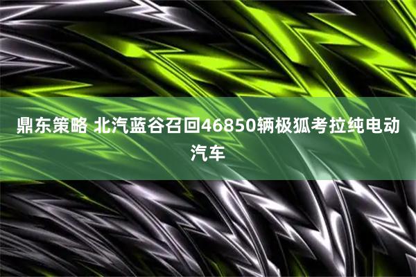 鼎东策略 北汽蓝谷召回46850辆极狐考拉纯电动汽车